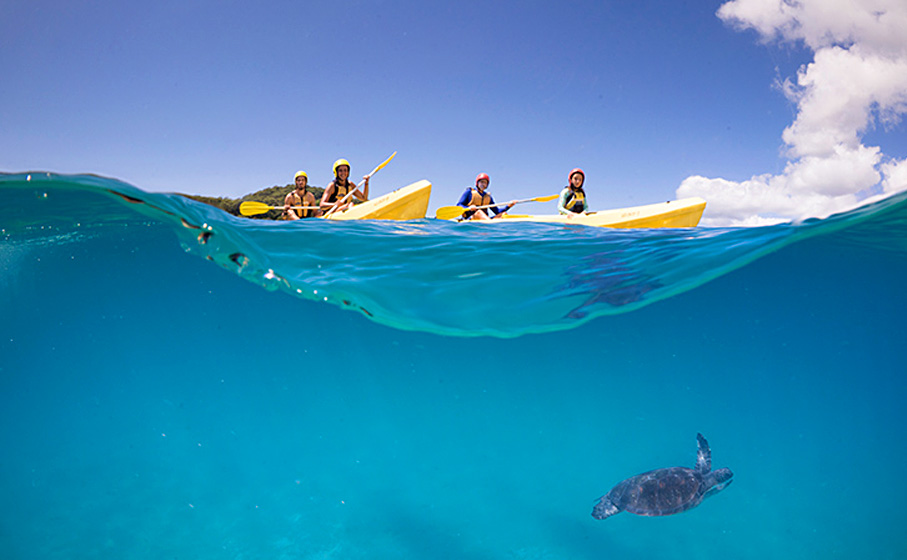 People in kayaks paddle over waves as a sea turtle swims below. Photo © Cape Byron Kayaks
