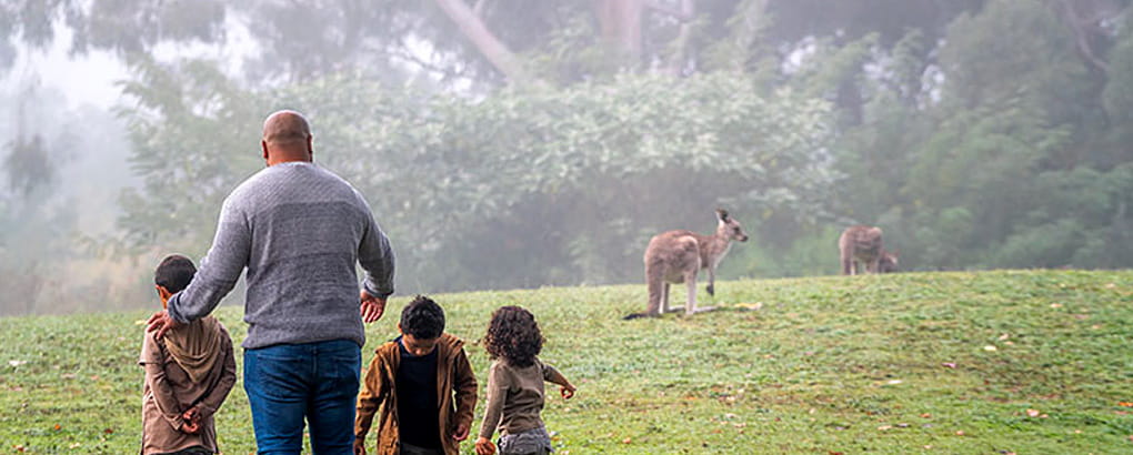 A man and three children watch kangaroos from a distance in Cattai National Park. Photo: John Spencer &copy; DPIE