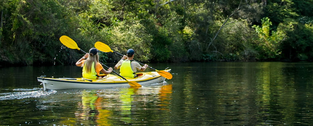2 people in a double kayak paddling on Lane Cove River in Lane Cove National Park. Photo: Daniel Parsons/DPIE