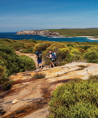 Two hikers walk the Coast track, near Eagle Rock, in Royal National Park. Photo: David Finnegan/DPIE