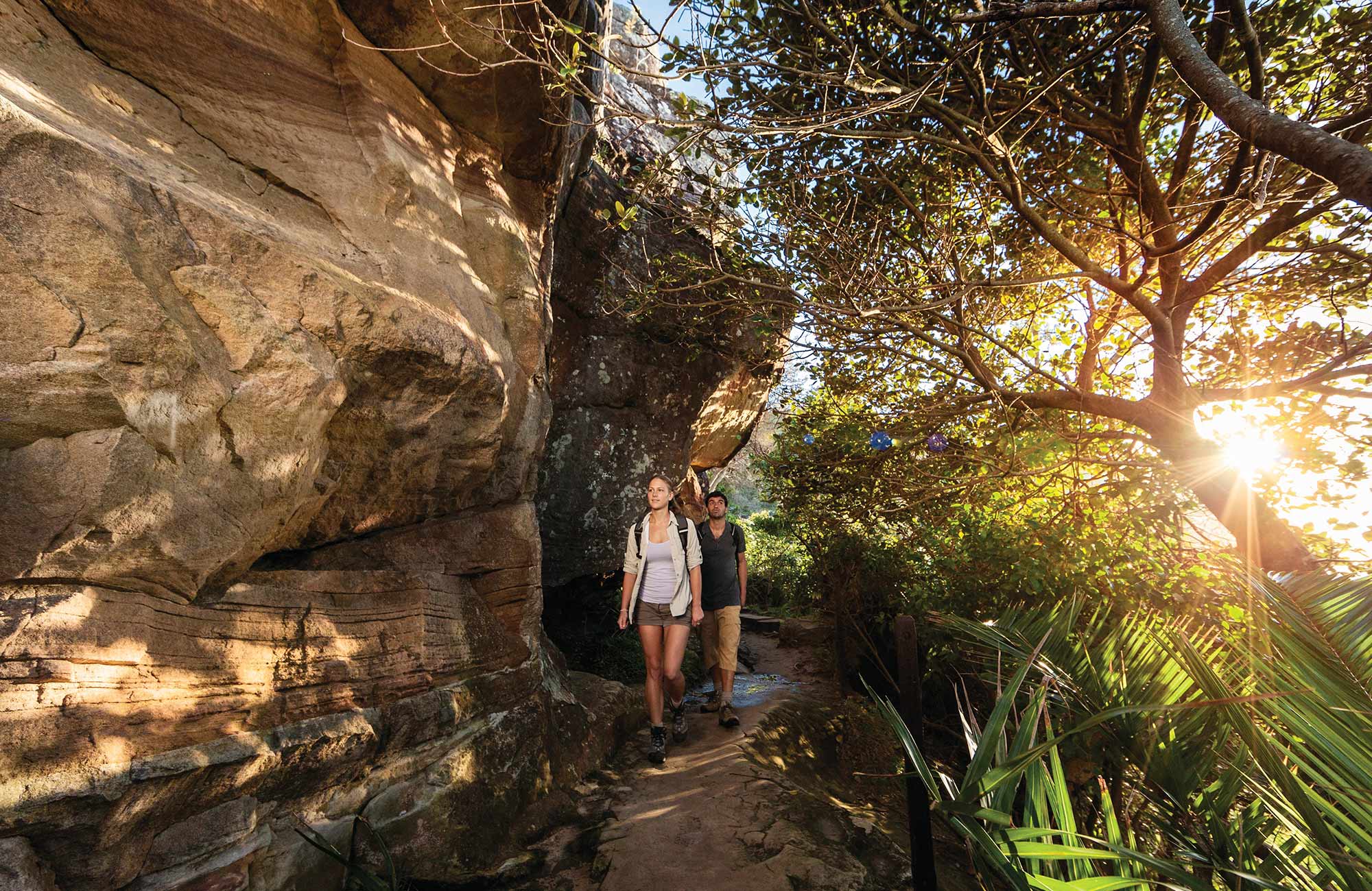 Walkers on Smugglers track, Ku-ring-gai Chase National Park. Photo: D Finnegan/OEH