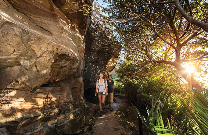Walker on Smugglers track, Ku-ring-gai Chase National Park. Photo: D Finnegan/OEH