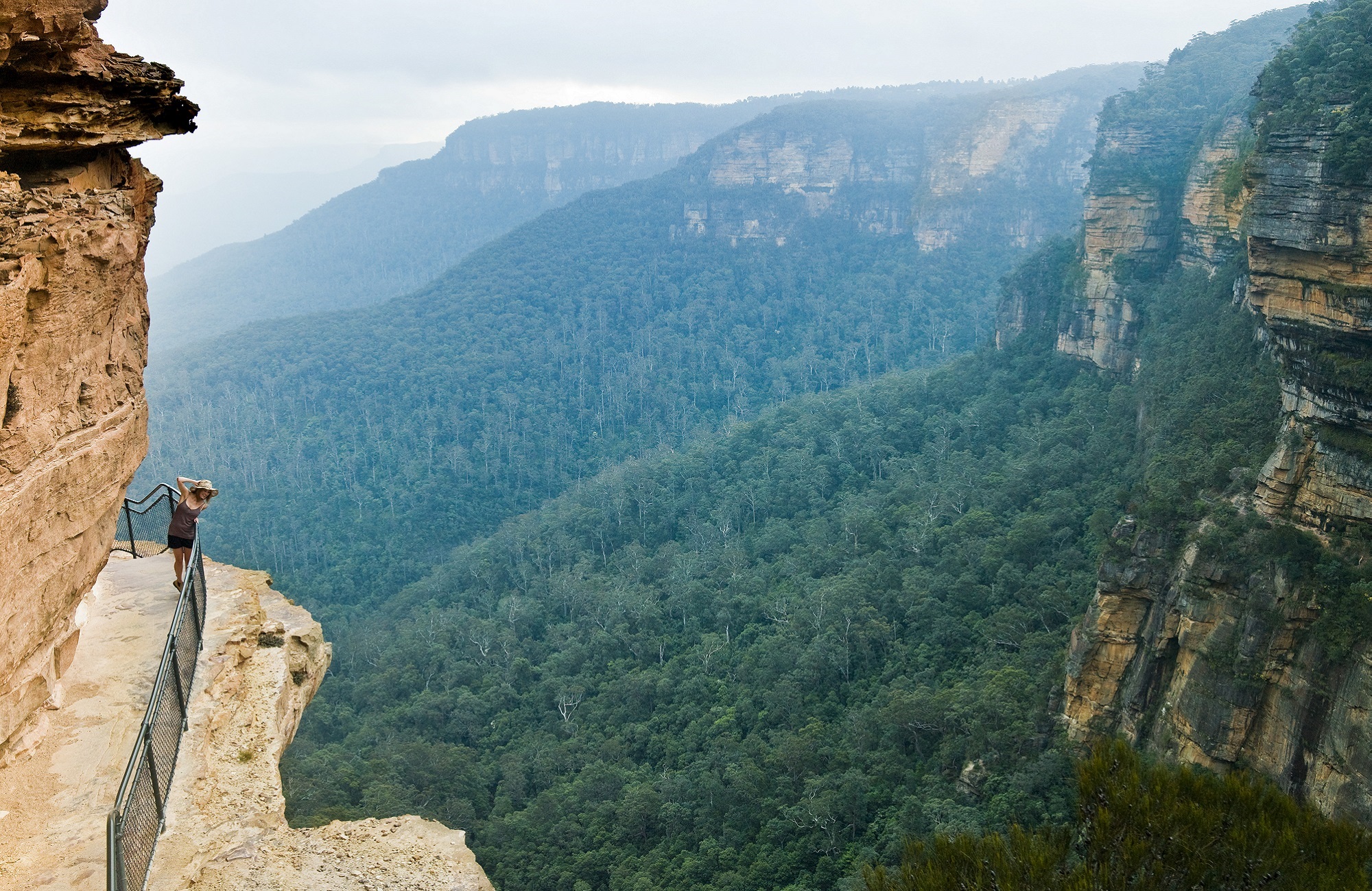 Sydney’s top 5 walks | NSW National Parks