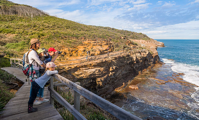 Family whale watching in Bouddi National Park. Photo: John Spencer/OEH