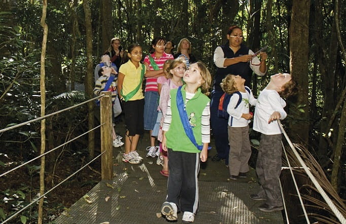 A group of children with an NPWS ranger on the Sea Acres Rainforest boardwalk, Sea Acres National Park. Photo: OEH
