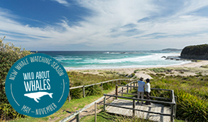 Pretty Beach, Murramarang National Park. Photo: David Finnegan