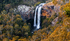 View of Ebor Falls in Guy Fawkes River National Park. Photo: Liam Hardy/OEH