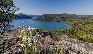 View of the Hawkesbury in Marramarra National Park, along the Great North walk. Photo: John Spencer/DPIE