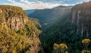View of cliffs and valley from Izzards lookout, Budderoo National Park. Photo: Michael Van Ewijk/OEH.
