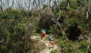Two walkers carrying overnight hiking packs walking up steps on the Murramarang multi-day coastal walk. Credit: Remy Brand &copy; DPE