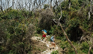 Two walkers carrying overnight hiking packs walking up steps on the Murramarang multi-day coastal walk. Credit: Remy Brand &copy; DPE