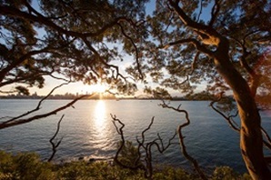 View of Sydney city at sunset, from Bradleys Head, Sydney Harbour National Park. Photo: David Finnegan/OEH.