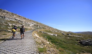 Two hikers walk up Mount Kosciuszko summit track, Kosciuszko National Park. Photo: Elinor Sheargold/OEH