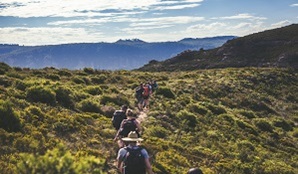 Group walking along Lockleys Pylon track, Blue Mountains National Park. Photo: Daniel Parsons/OEH