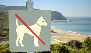 Sign prohibiting dogs set against a sweeping coastal vista of beaches and headlands. Image credit: John Spencer &copy; DPIE