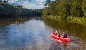 Kayakers paddle along Woody Creek in Everlasting Swamp National Park. Photo: J Robertson/OEH
