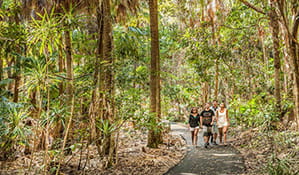 Family walking along Palm Valley in Cape Byron State Conservation Area. Photo: M Vanderveer/OEH