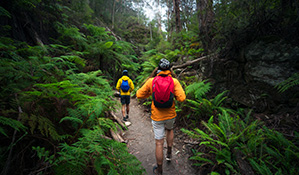 Bushwalkers in Wollemi National Park. Photo: Daniel Tran/DPIE