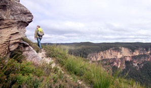 Mt Hay, Blue Mountains National Park. Photo: Elinor Sheargold