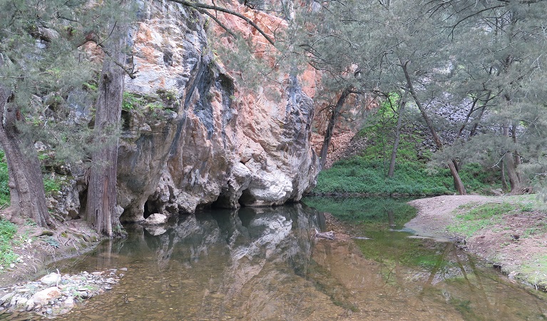 Creek at Abercrombie Caves campground, Abercrombie Karst Conservation Reserve. Photo: Stephen Babka/DPIE