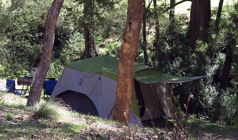 A tent pitched under trees at Abercrombie Caves campground. Photo: Stephen Babka/DPIE