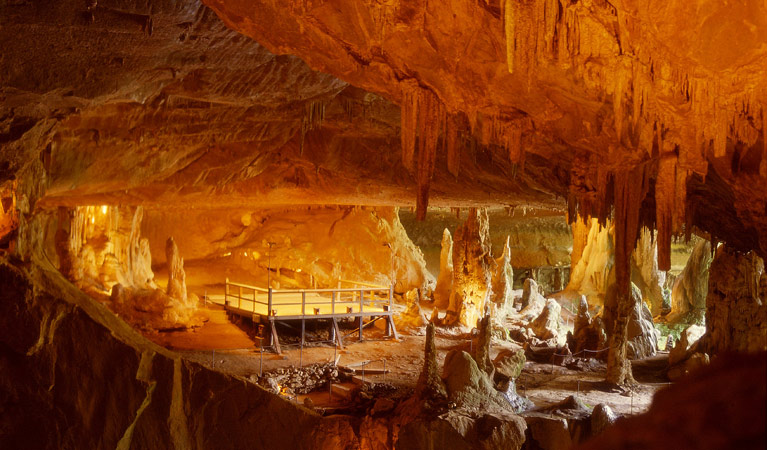 Platform, Archway Walk, Abercrombie Karst Conservation Reserve. Photo: OEH/NSW Government