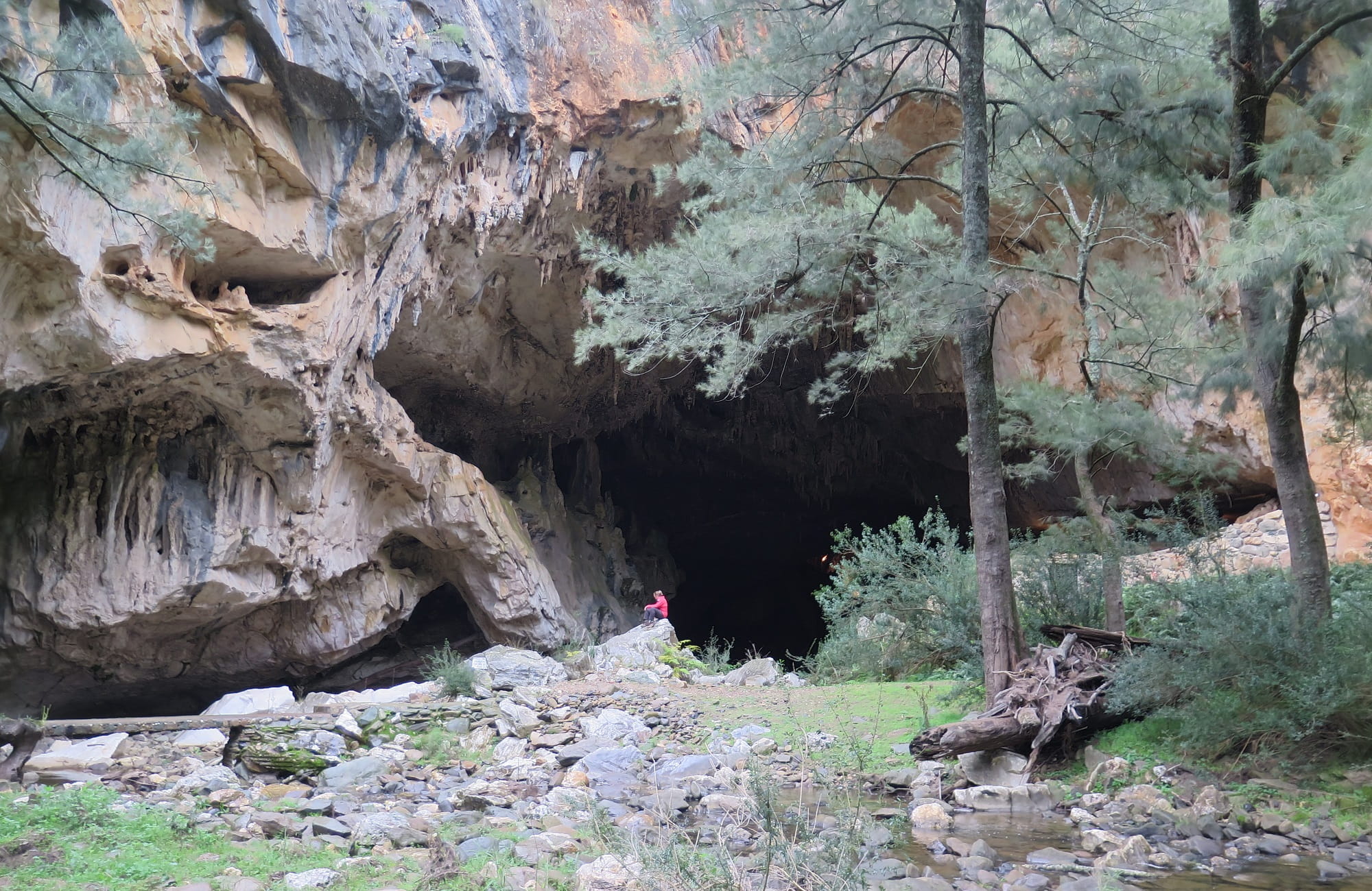 Entrance to Archway Cave, Abercrombie Caves, Abercrombie Karst Conservation Reserve. Photo: Stephen Babka/DPIE