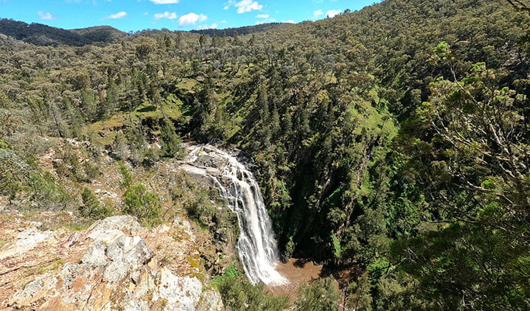 The view of Grove Creek Falls at the end of Grove Creek Falls walking track in Abercrombie Karst Conservation Reserve. Photo: Stephen Babka &copy; DPIE