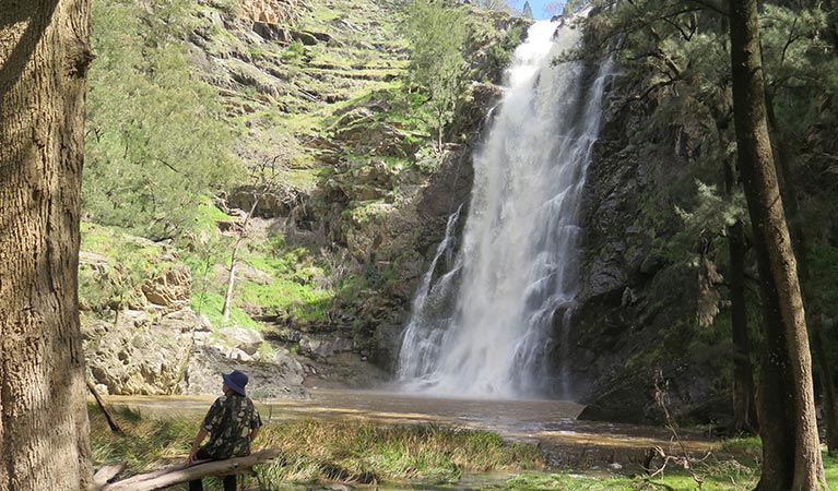 A man sits on a timber seat beside Grove Creek Falls in Abercrombie Karst Conservation Reserve. Photo &copy; Stephen Babka