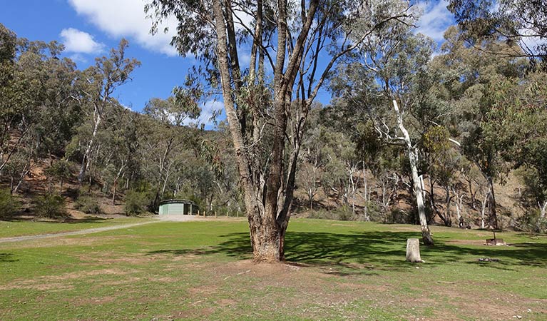 Grassy campsites near amenities block, Abercrombie Caves campground. Photo: Stephen Babka/DPIE