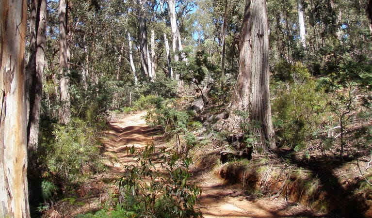 Abercrombie River Trail, Abercrombie National Park. Photo: NSW Government