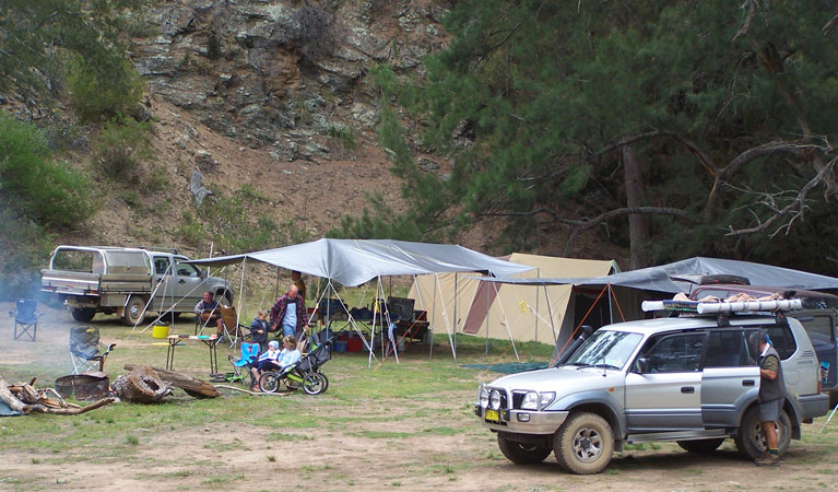 Silent Creek campground, Abercrombie River National Park. Photo: NSW Government