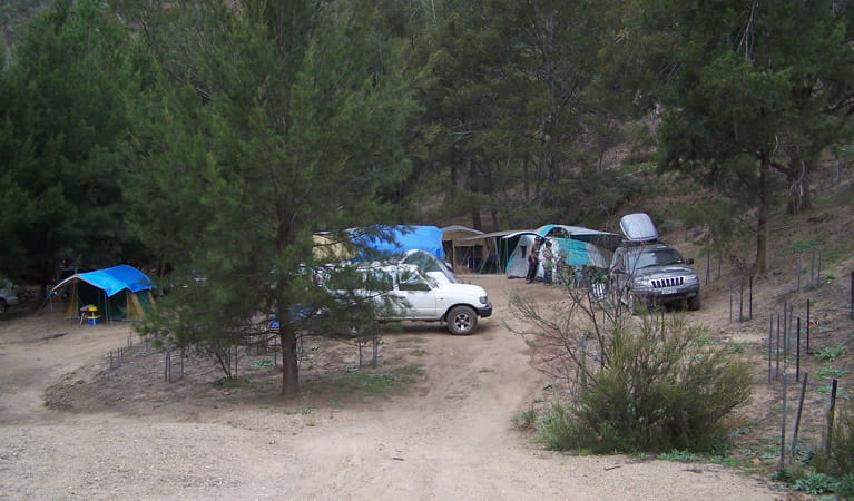 The Beach campground, Abercrombie River National Park. Photo: NSW Government