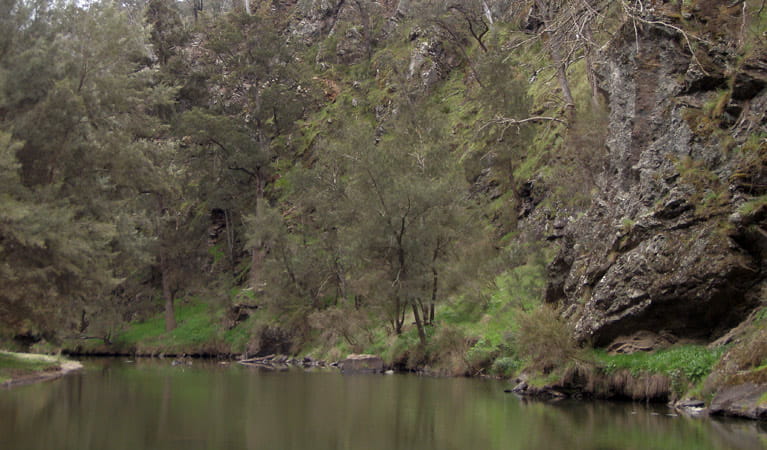 The Beach campground, Abercrombie River National Park. Photo: NSW Government