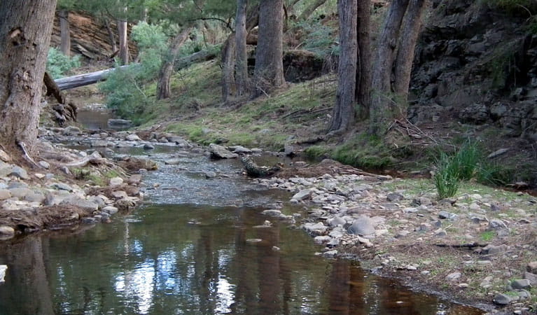 Retreat River, Abercrombie River National Park. Photo: NSW Government