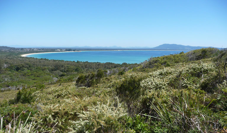 Front beach, Arakoon National Park. Photo: Debbie McGerty/NSW Government