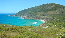 Monument Hill walking track in Arakoon National Park. Photo: Debby McGerty &copy; OEH