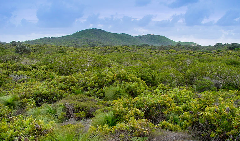 Arakwal National Park. Photo: John Spencer/NSW Government