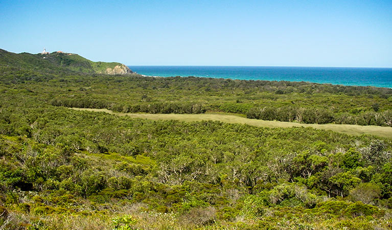 Arakwal National Park. Photo: John Spencer/NSW Government