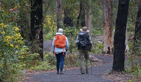 Two walkers on Bald Rock base walk in Bald Rock National Park. Photo: Christopher Ghirardello/DPE