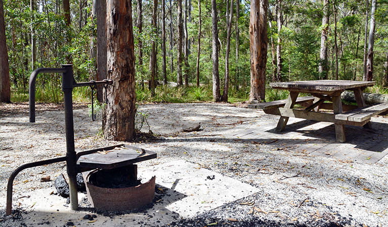 A wood barbecue and picnic table at Bald Rock campground in Bald Rock National Park. Photo: Dirk Richards &copy; Dirk Richards
