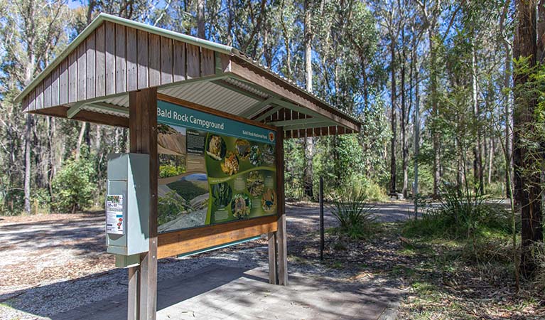 Information shelter at Bald Rock campground and picnic area, Bald Rock National Park. Photo: Joshua J Smith &copy; DPE