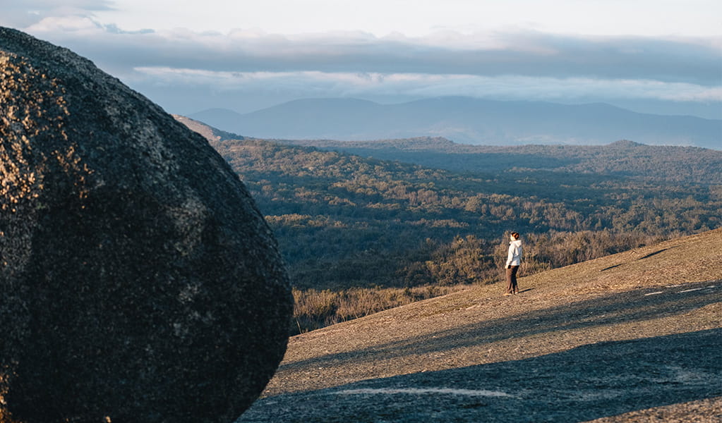 A visitor looking at the scenic view from Bald Rock Summit walking track, Bald Rock National Park. Photo credit: Harrison Candlin &copy; Harrison Candlin