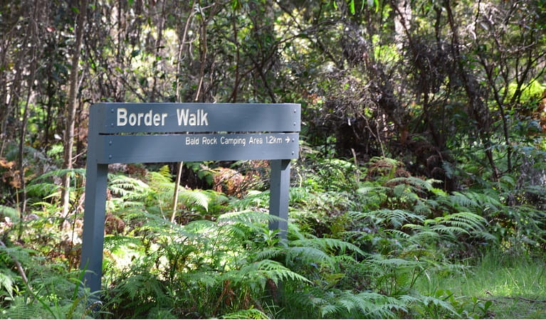 Border walk sign showing directions to Bald Rock campground. Photo: Ann Richards