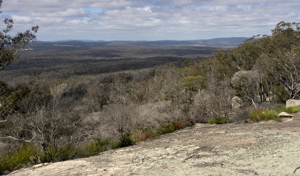 Views across the rocky landscape of Bald Rock National Park. Photo: Leah Pippos &copy; DPE