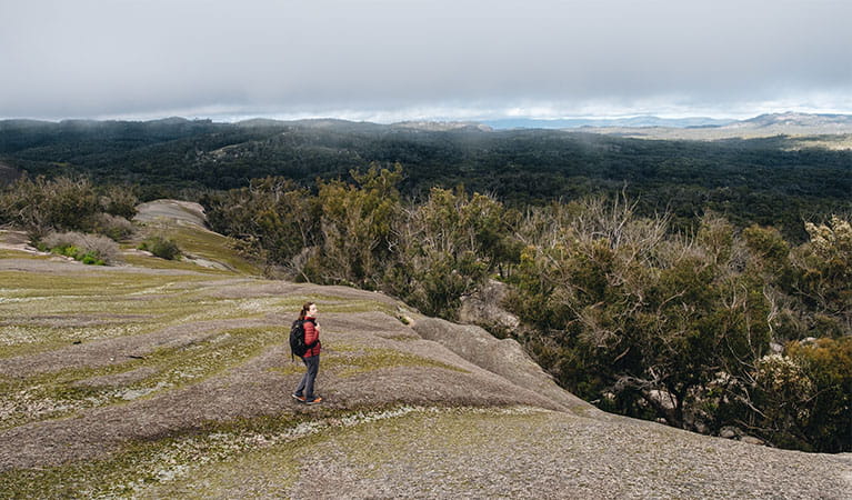 A park visitor stands on top of a granite dome in Bald Rock National Park. Photo credit: Harrison Candlin &copy; DPIE
