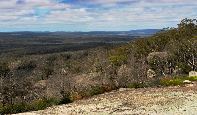 Expansive view past a rock ridgetop to a distant rolling landscape of wooded hills in Bald Rock National Park. Photo: Leah Pippos &copy; DPIE