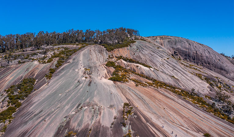 The dome of Bald Rock, Bald Rock National Park. Photo: Joshua J Smith &copy; DPE