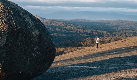 Bald Rock Summit walking track, Bald Rock National Park. Photo credit: Harrison Candlin &copy; Harrison Candlin