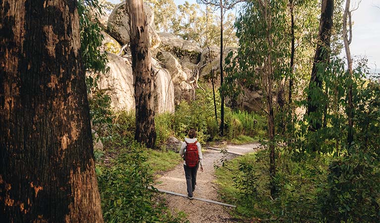 Bald Rock Summit walking track, Bald Rock National Park. Photo credit: Harrison Candlin &copy; Harrison Candlin